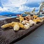 Thea Imerovigli (Santorini)